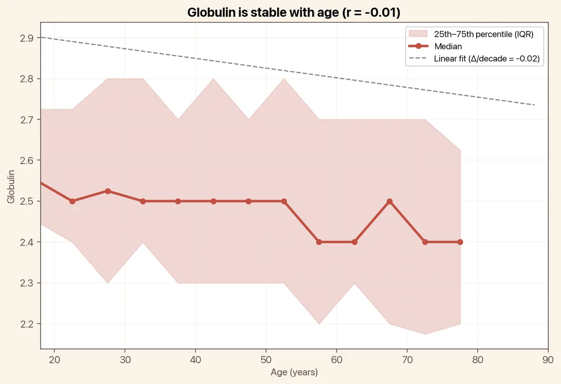 Globulin is stable with age, chart with median and linear trend