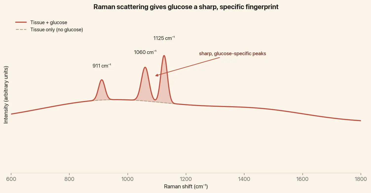 Raman spectrum of glucose over the 600 to 1800 cm⁻¹ fingerprint region. Three sharp, glucose-specific peaks at 911, 1060, and 1125 cm⁻¹ rise clearly above the slowly-varying tissue baseline, and the shaded area between the baseline and the total marks the glucose signal.