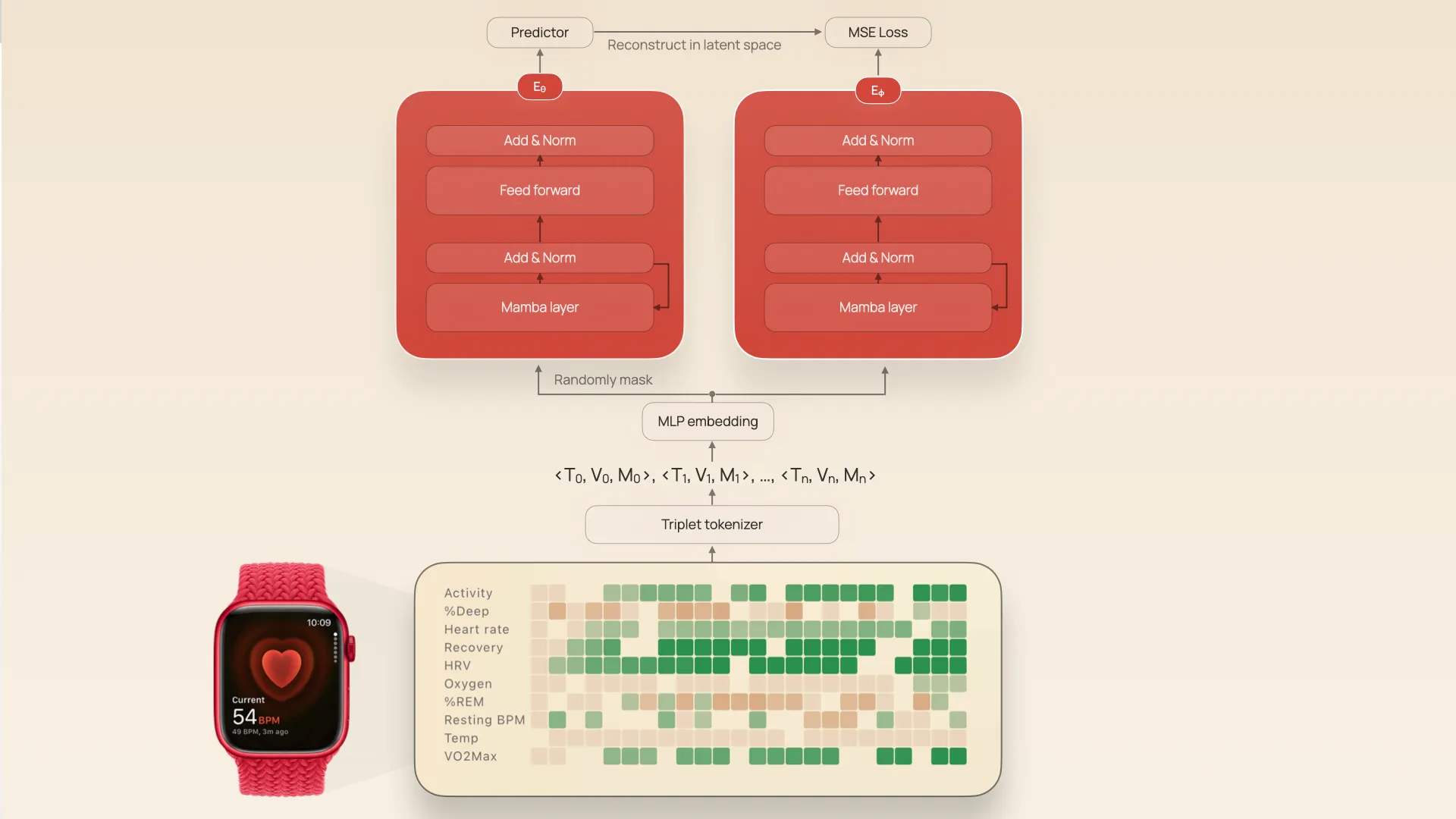 JETS architecture for learning from sparse, irregular wearable time series